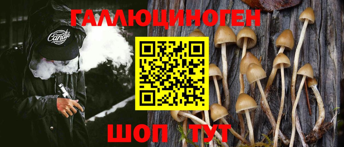Псилоцибиновые грибы Psilocybe  Вход с VPN  Грозный 